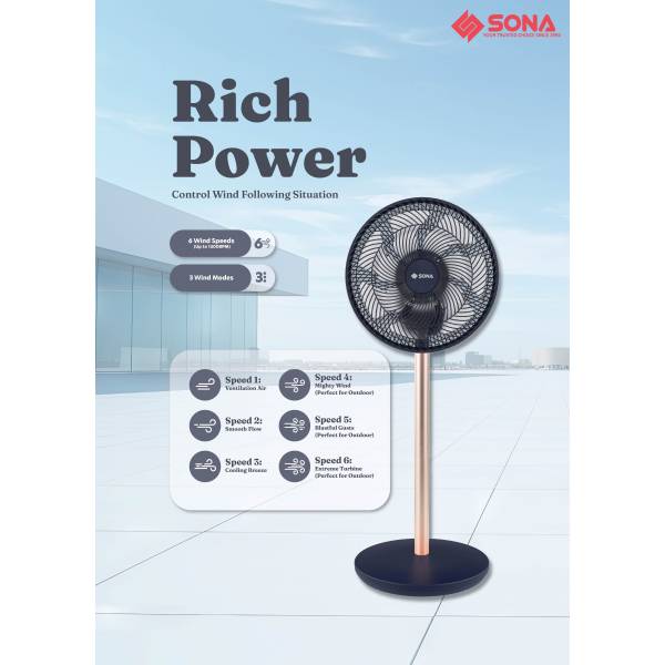 SONA SFS 9008CR 3 -In-1 Remote Portable DC 12"