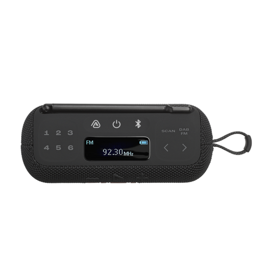 JBL Tuner 3 Portable DAB/DAB /FM radio and Bluetooth speaker