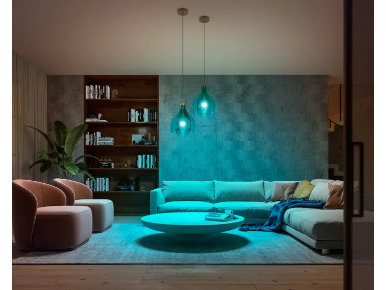 PHILIPS Hue WA 1100 A60 E27 1P GM