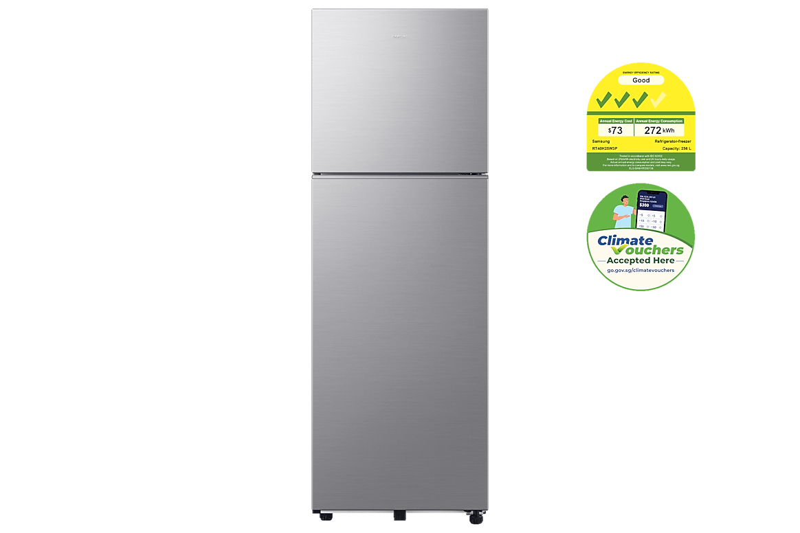 SAMSUNG RT40H25W3PSS Top Mount Freezer All-Around Cooling 256L