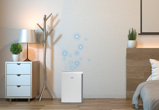 WHIRLPOOL DS202NF Dehumidifier 20L