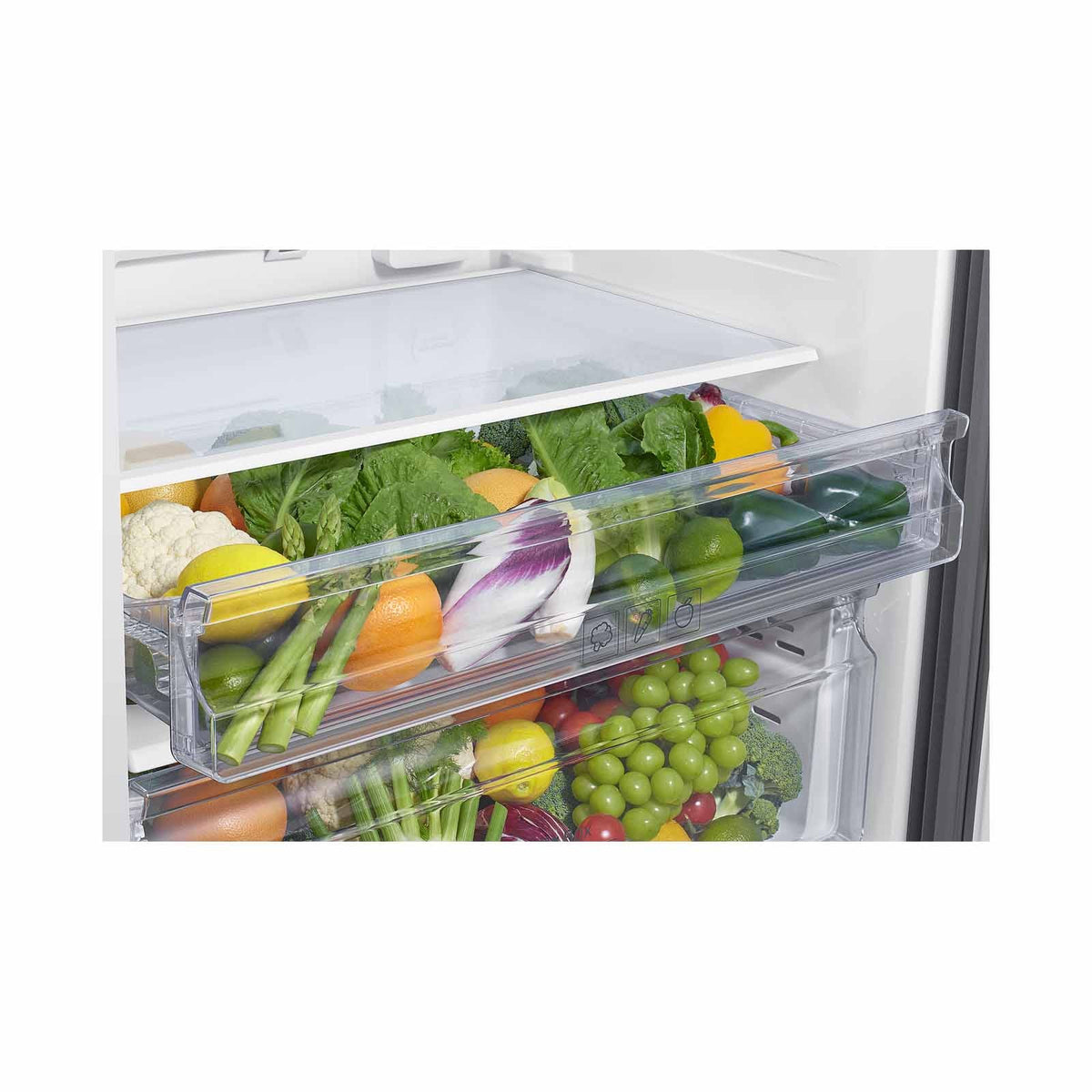 Samsung RT53DG7A6CS9SS Top Mount Fridge 530L