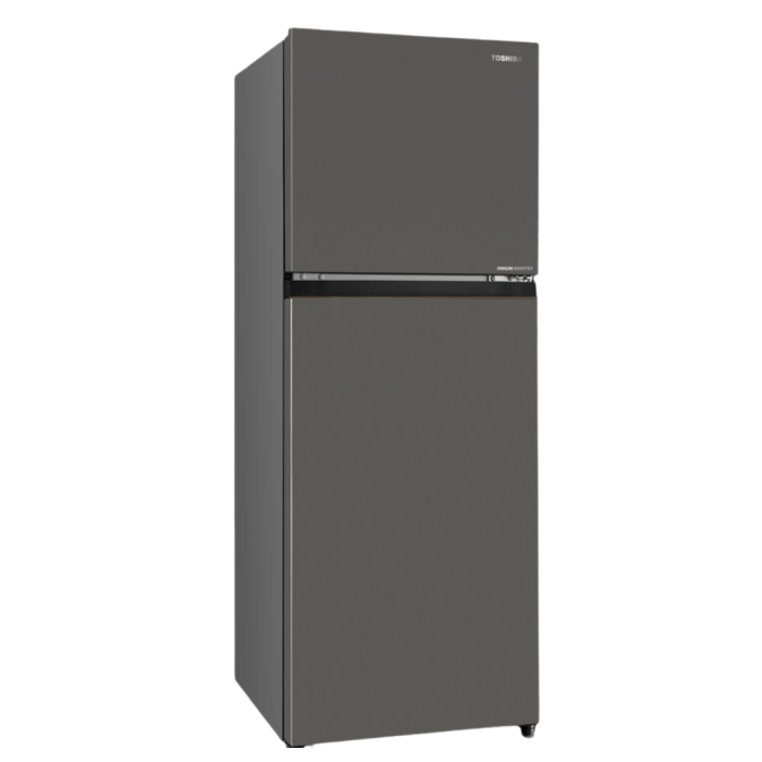 TOSHIBA GR-RT349WE-PMX(68) 2 Door Fridge 271L