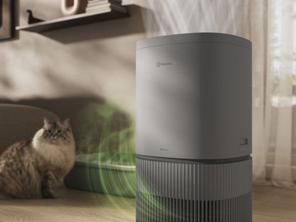 ELECTROLUX EP53-45UGB PetCare Air Purifier