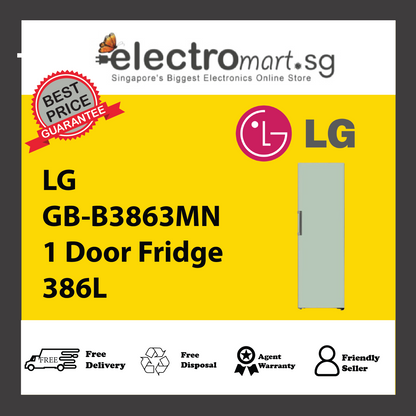 LG GB-B3863MN 1 Door Fridge 386L