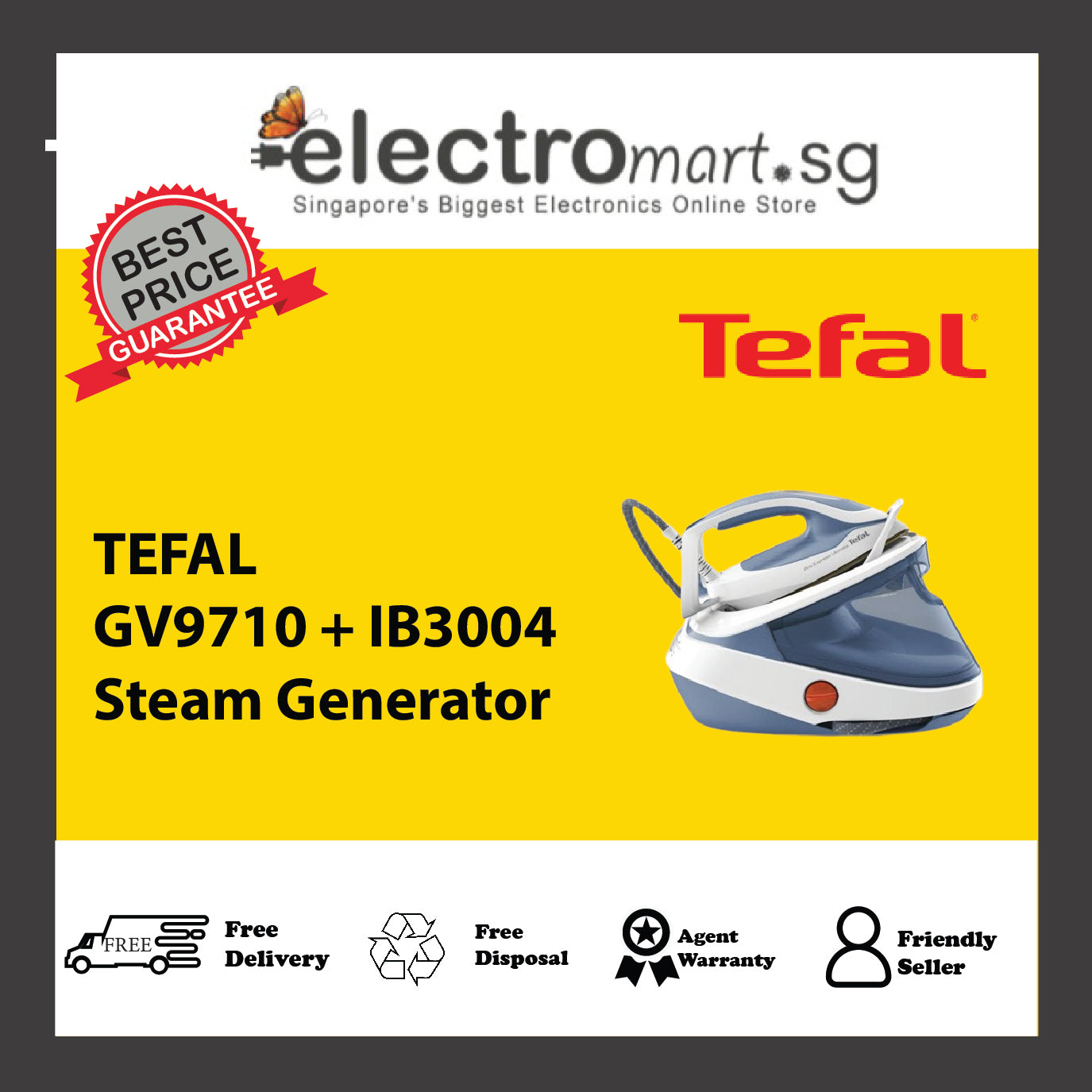 TEFAL GV9710 + IB3004 Steam Generator