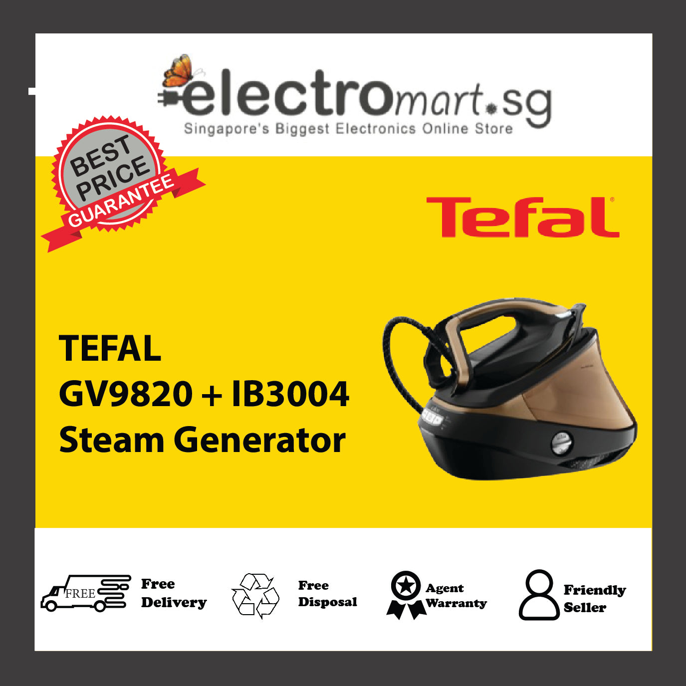 TEFAL GV9820 + IB3004 Steam Generator