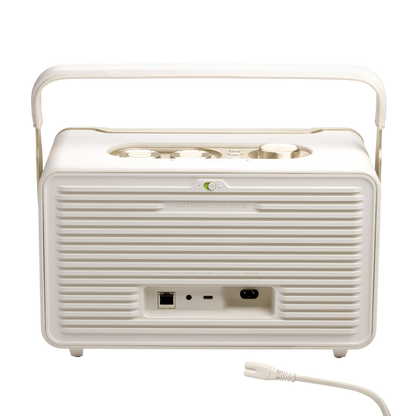 JBL Authentics 300 Smart home speaker