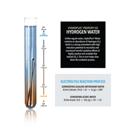 NOVITA NP12000 Premium Undersink Water Ionizer