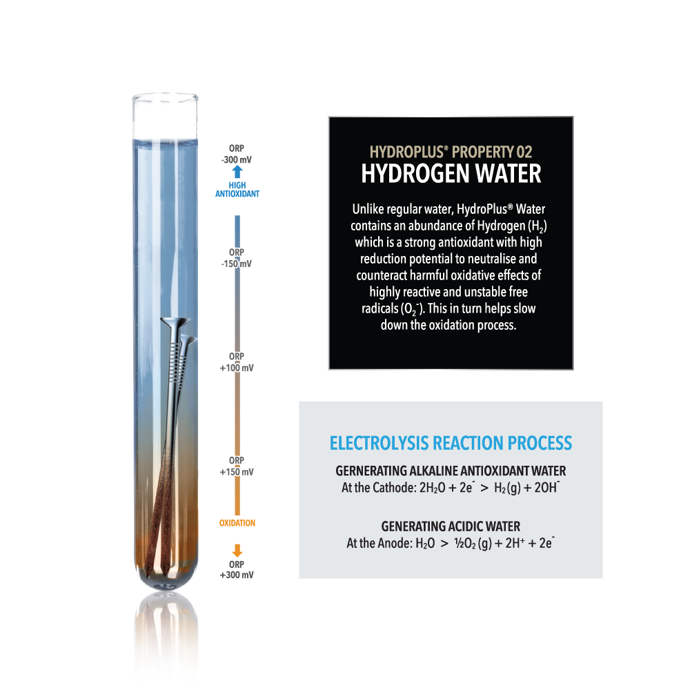 NOVITA NP 9960i HydroPlus® Premium  Water Ionizer