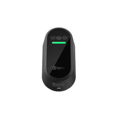IGLOOHOME WINK Facial Recognition