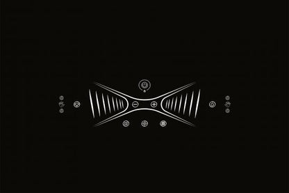 BRANDT BHV2490GM Wall Mount Hood