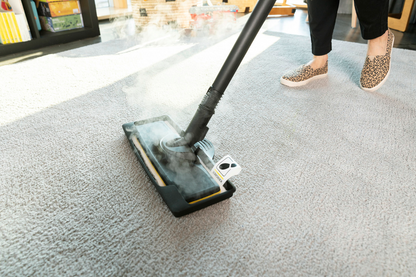 KARCHER SC 3 Deluxe Steam cleaner