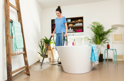 KARCHER SC 3 Deluxe Steam cleaner