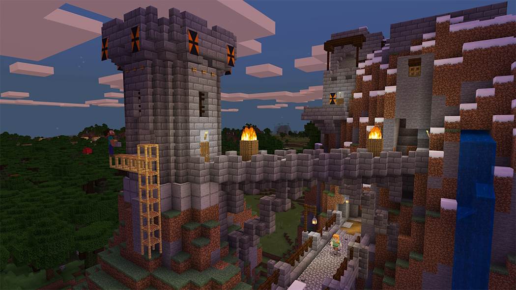 Nintendo Minecraft