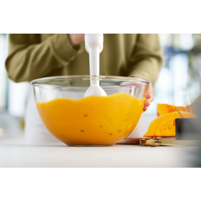 PHILIPS HR2520/01 Hand Blender