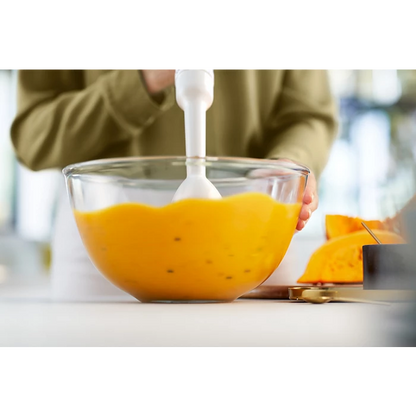 PHILIPS HR2520/01 Hand Blender