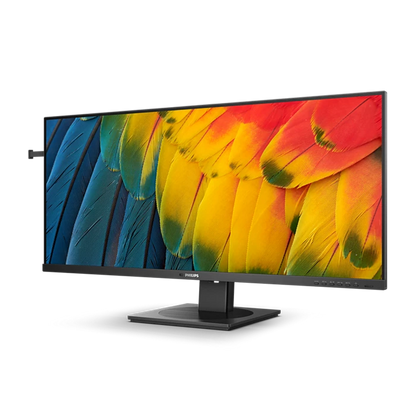 PHILIPS PHI-40B1U5600 WQHD IPS Monitor 40”