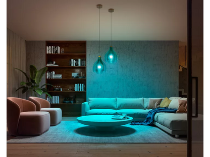 PHILIPS Hue WA 1100 A60 E27 1P GM