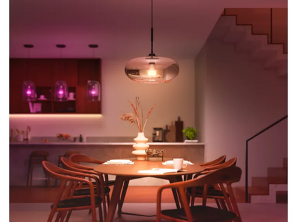 PHILIPS Hue WCA 1100 A60 E27 1P GM