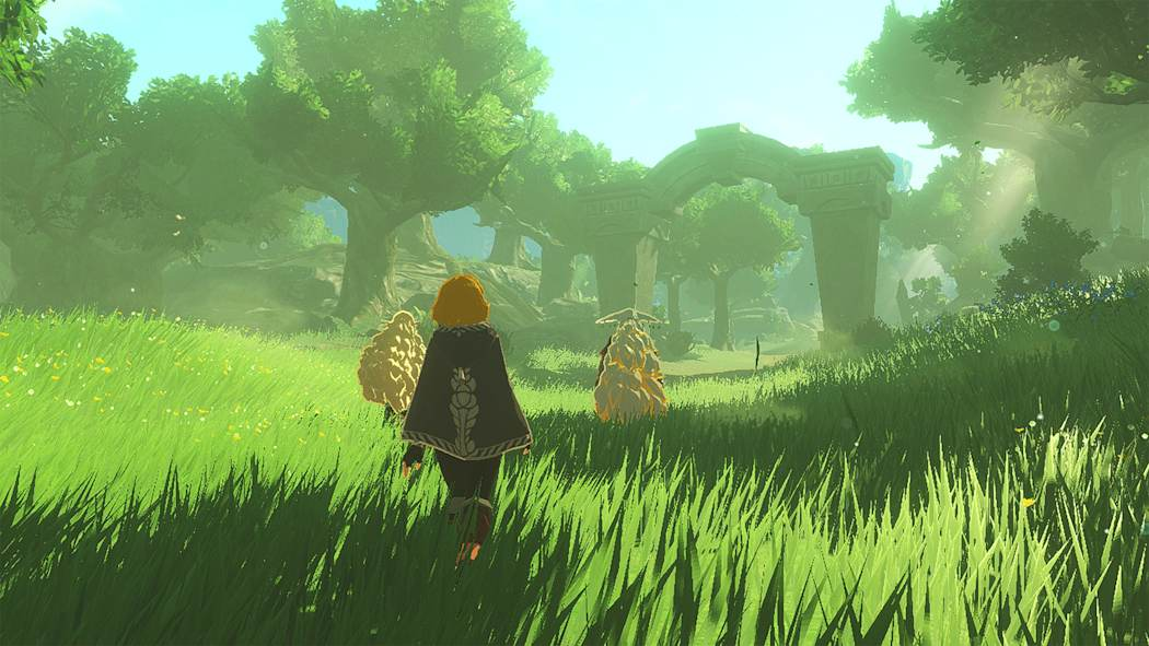 Nintendo Hyrule Warriors Age of Imprisonment