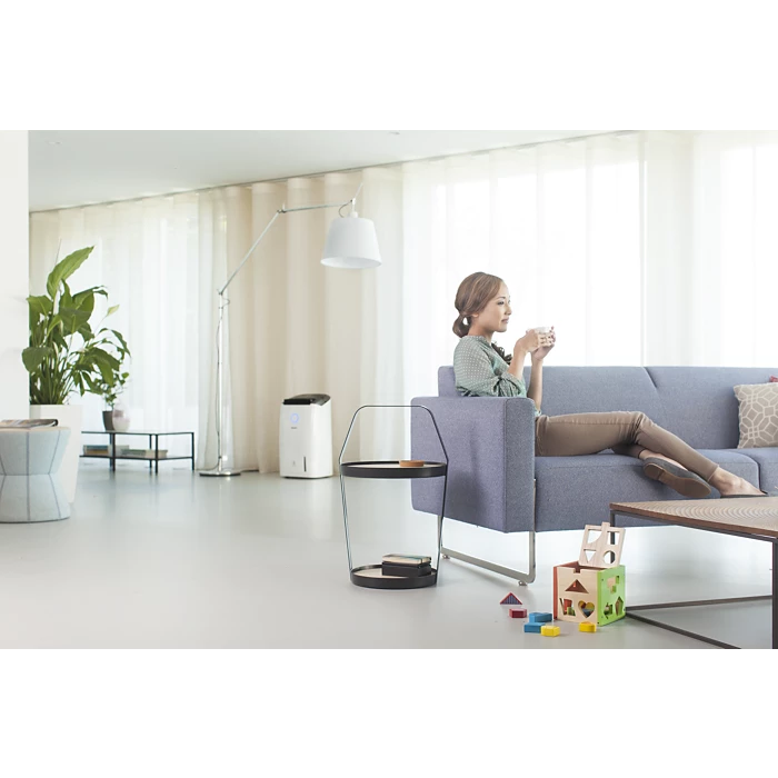PHILIPS DE5205/30 2-in-1 Air  Purifier and Dehumidifier