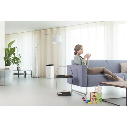 PHILIPS DE5205/30 2-in-1 Air  Purifier and Dehumidifier