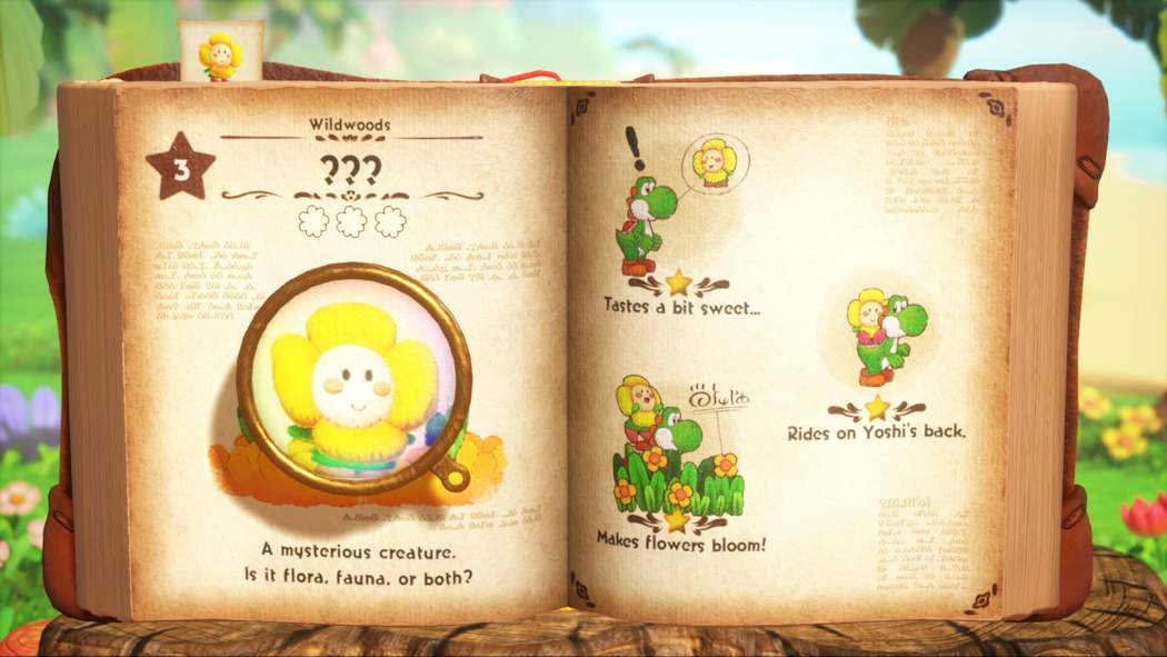 Nintendo Yoshi and the Mysterious Book