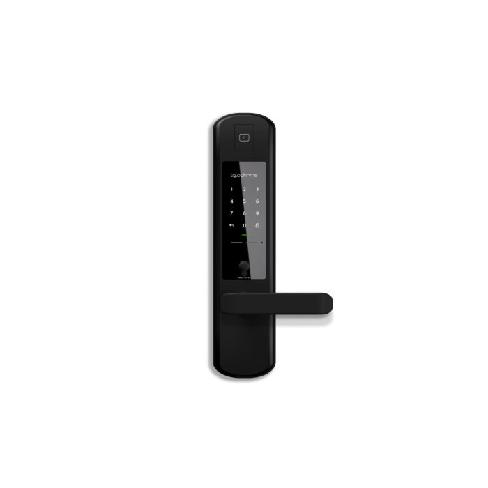 IGLOOHOME IGM3 + RM2F Gate & Door Digital Lock Combo