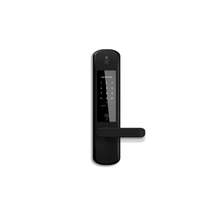 IGLOOHOME IGM4 + RM2F Gate & Door Digital Lock Combo