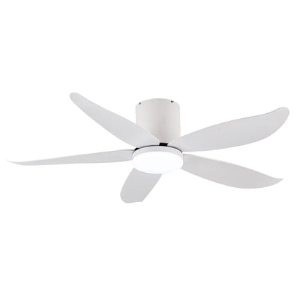 FANCO RITO 5 48",54" DC CEILING FAN