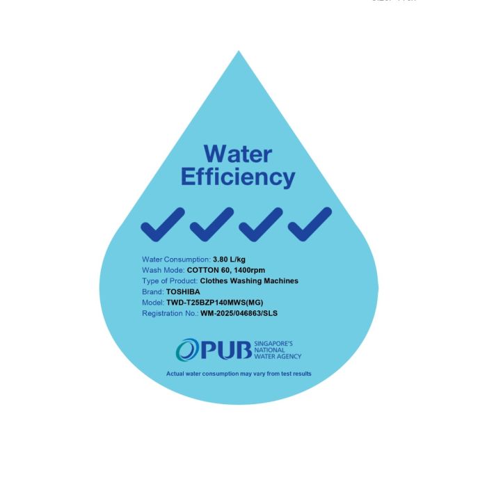 TOSHIBA TWD-T25BZP140MWS(MG) Front Load Washer Dryer 13kg